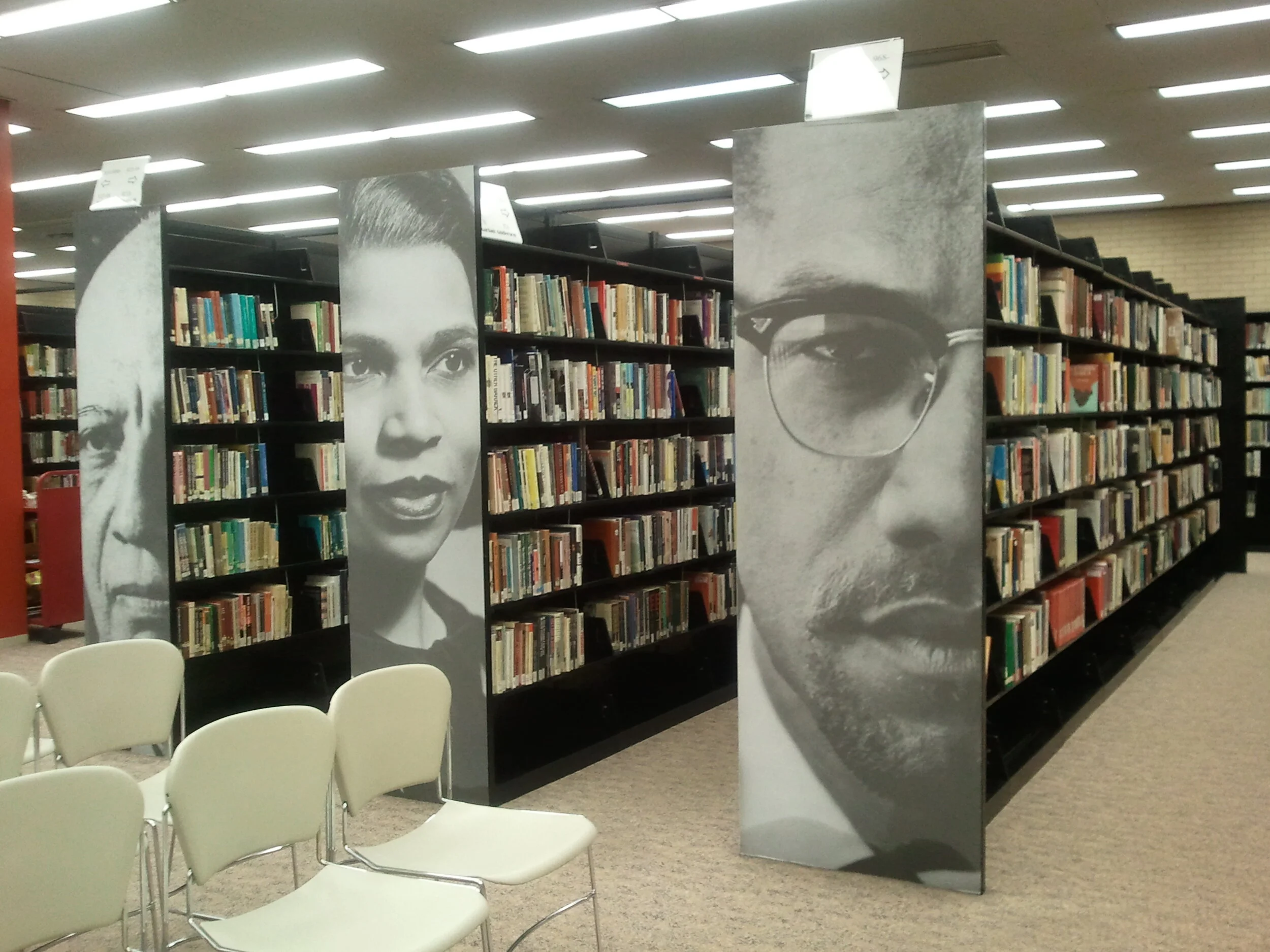 Black Studies Center profile.jpg