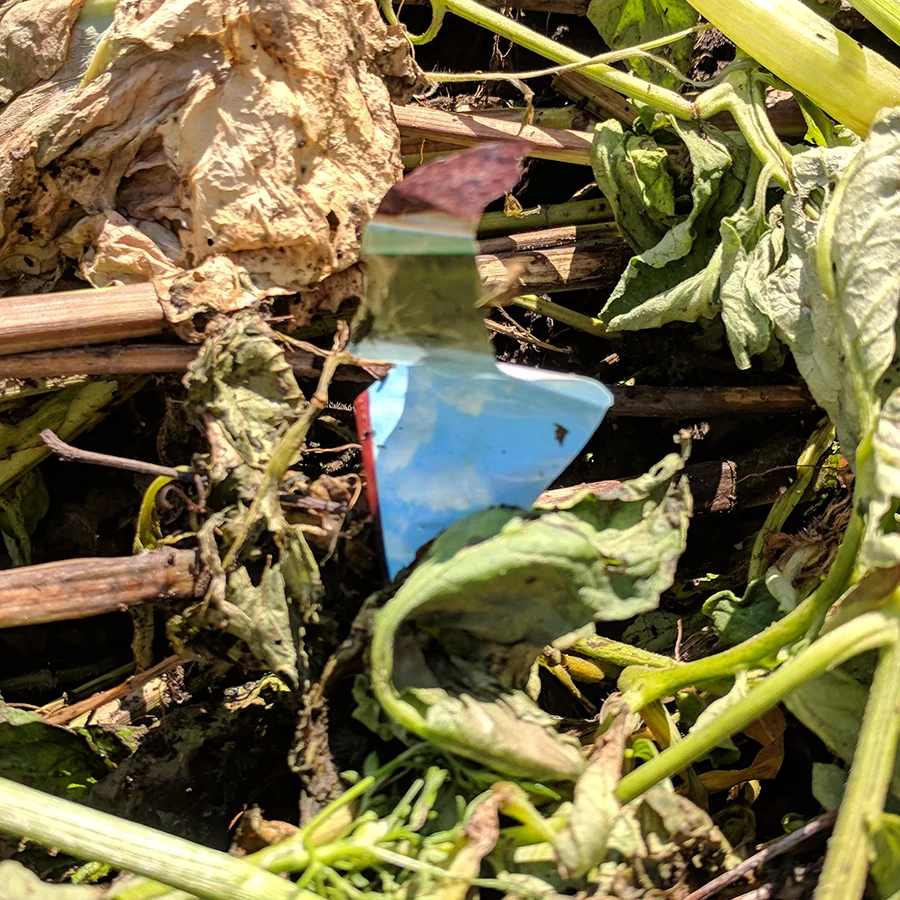 PIECE OF POT WRAPPER