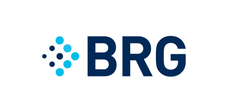 BRG Logo.png