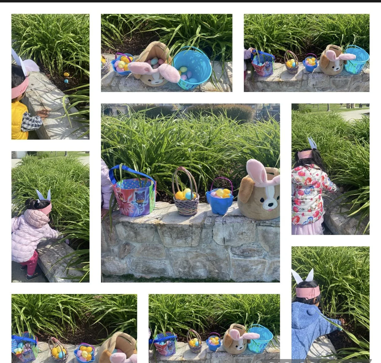 Easter Egg Fun