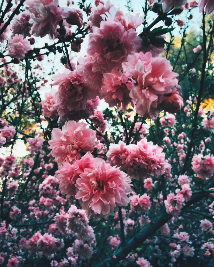 image (5).jpg