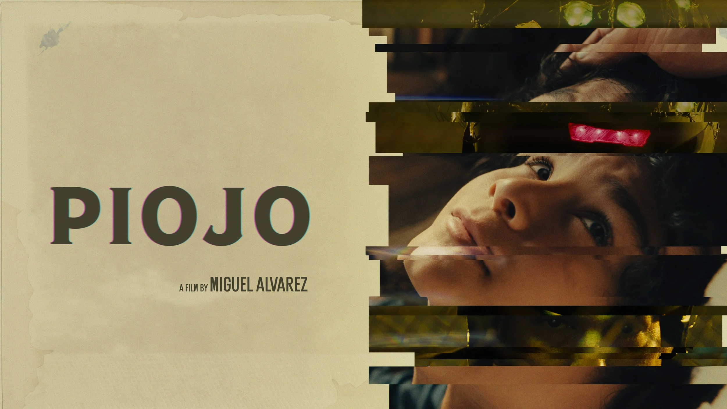 Piojo