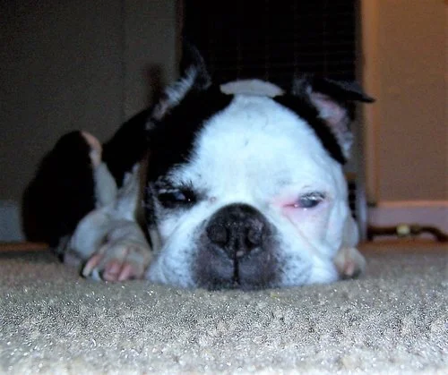 Winston Before