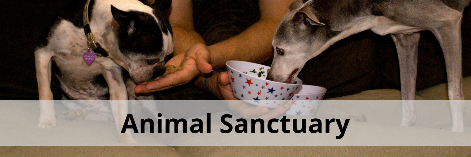 About David (29).png