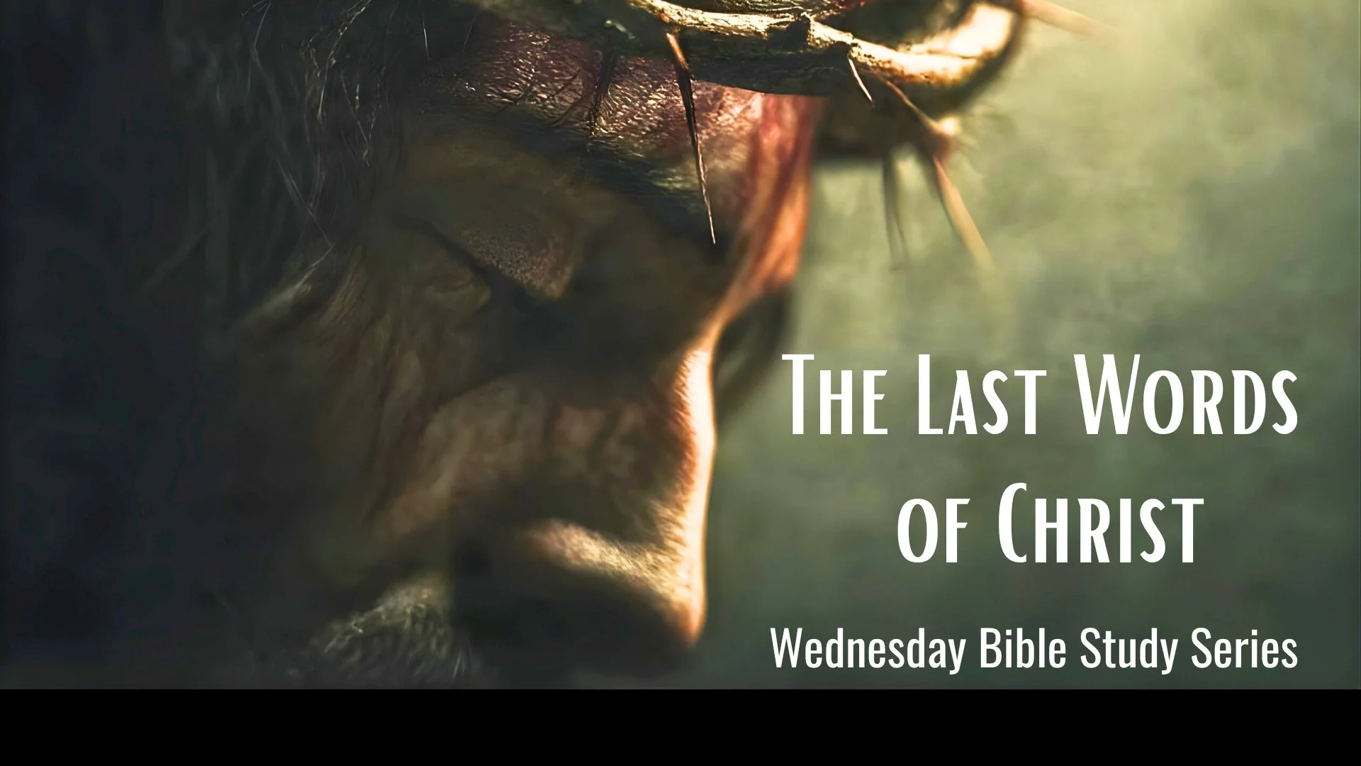 LWOC series slide.jpg