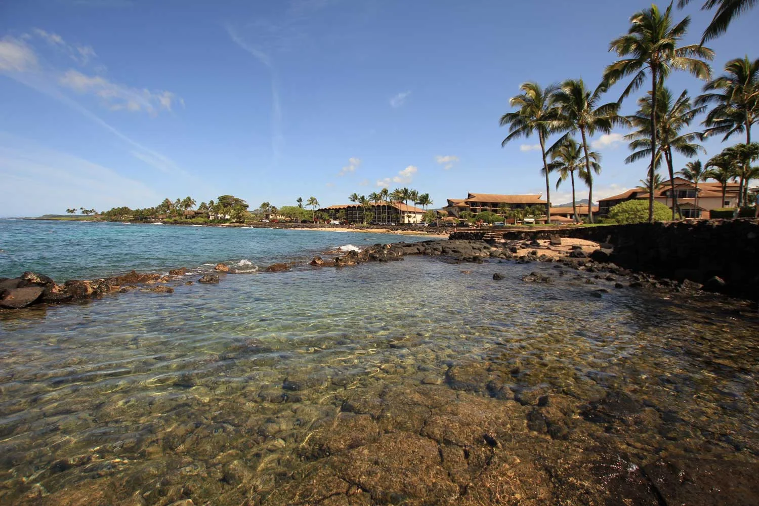 Pacific Real Estate Services