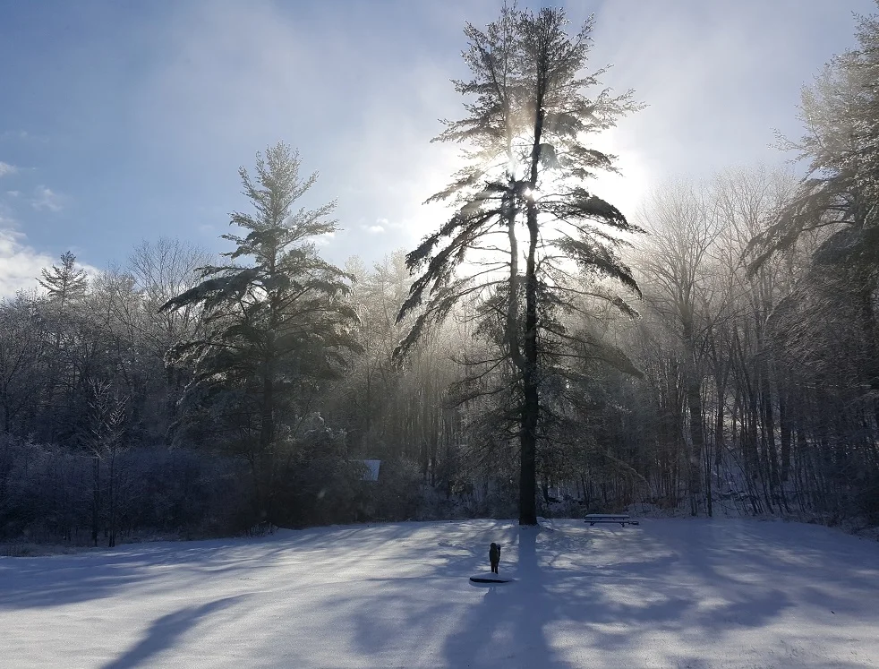 Black and BLUE and White