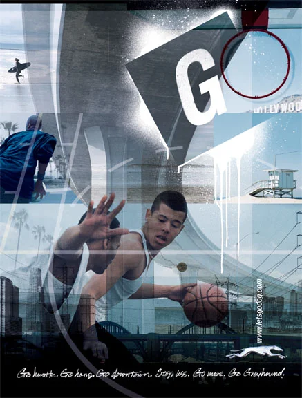 Greyhound Basketball.jpg