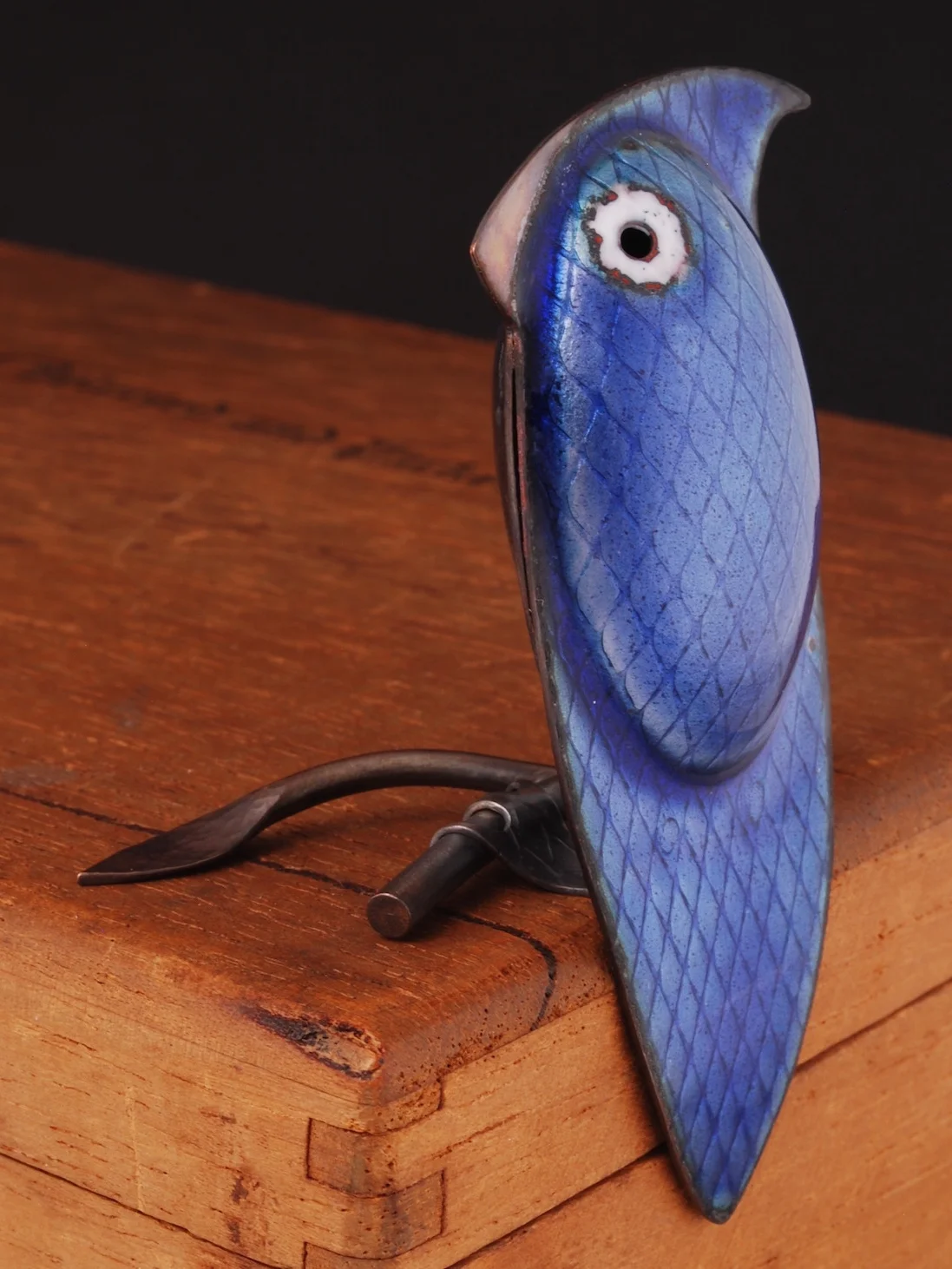 sapphire bird