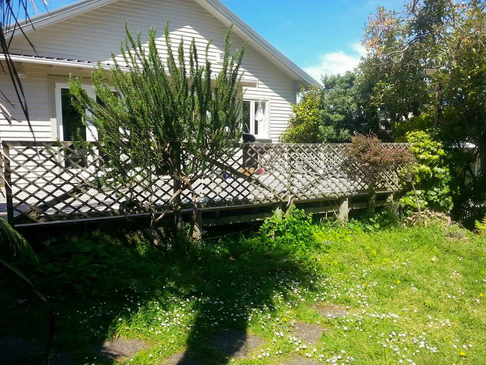 Outdoor Decking Extension Before