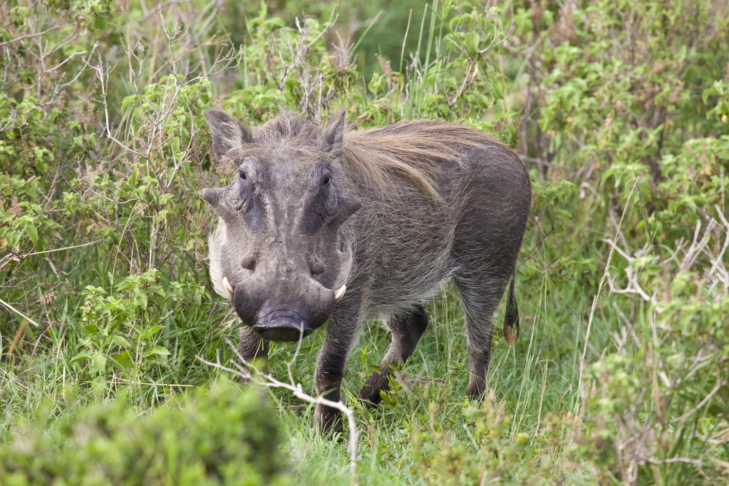 IMG_9468 - Version 2.JPG