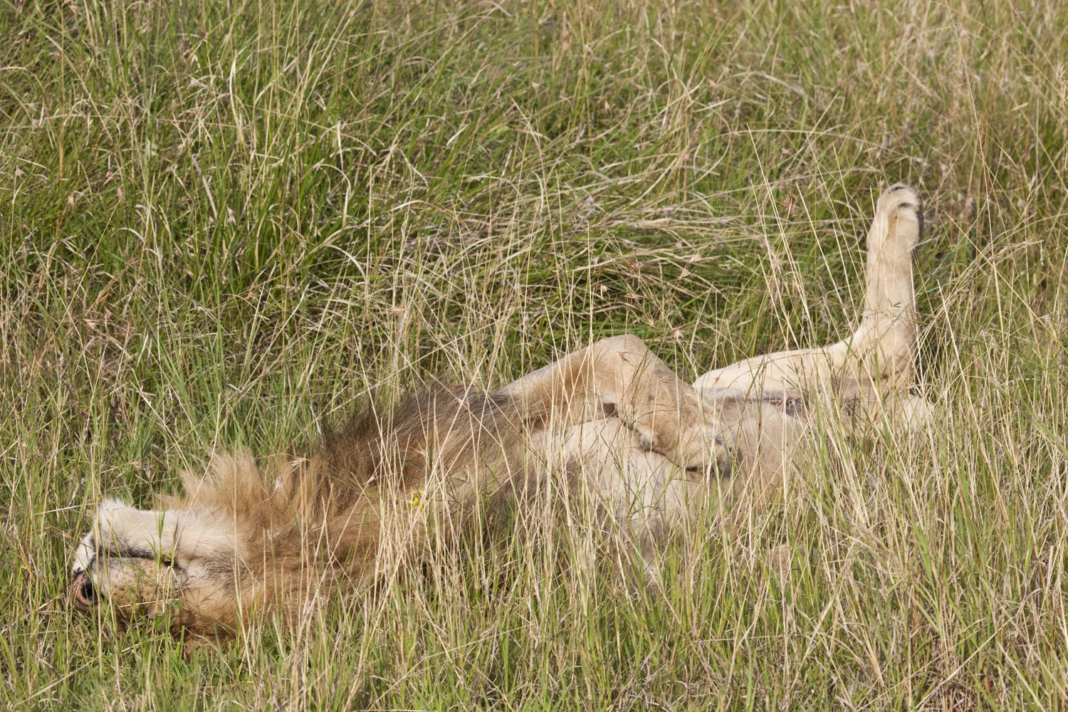 IMG_9780 - Version 2.JPG