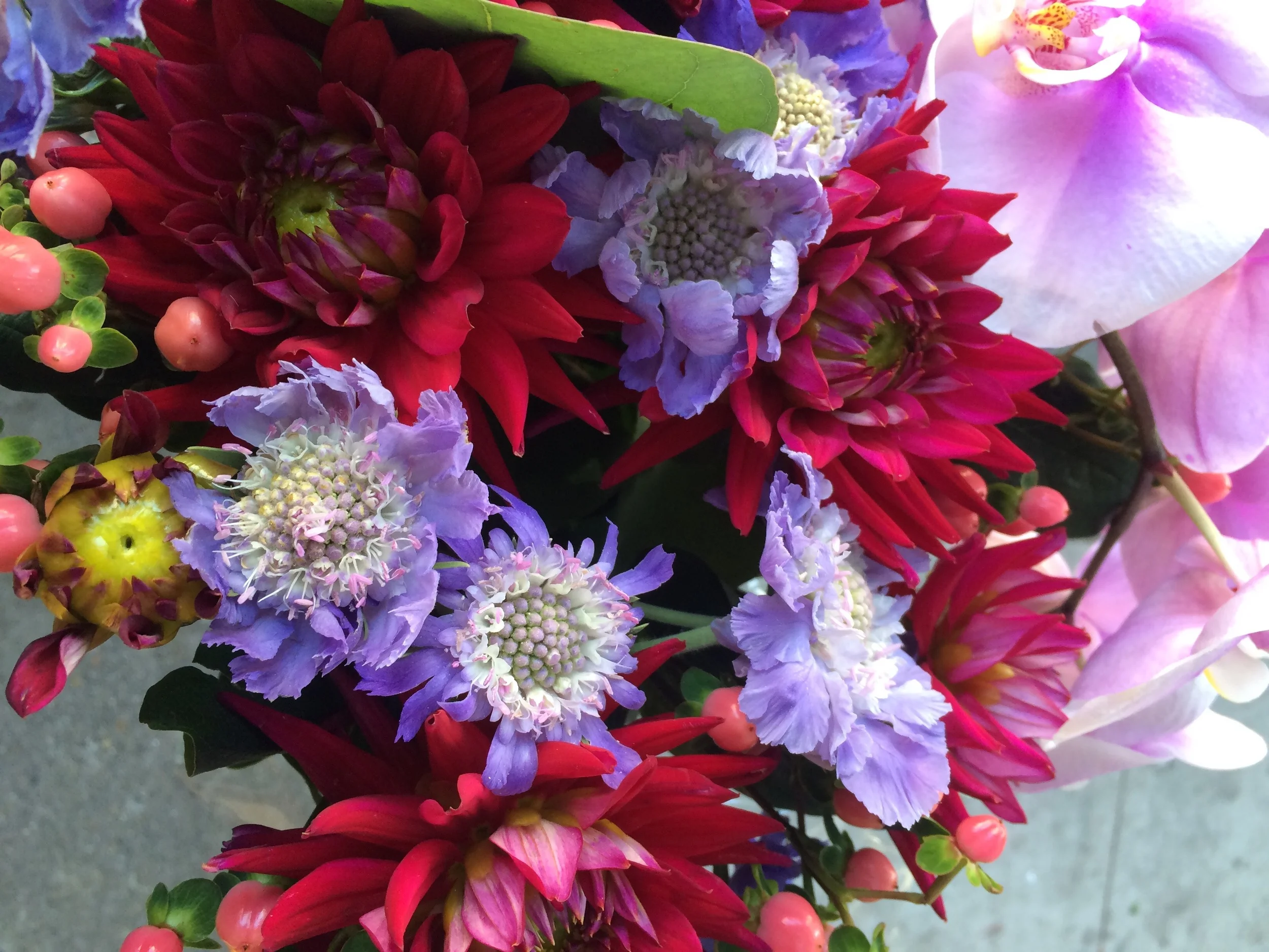 FullSizeRender 29.jpg