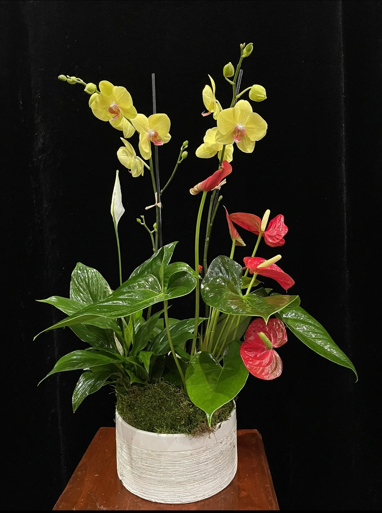 orchid-peace-lily-anthurium.jpeg