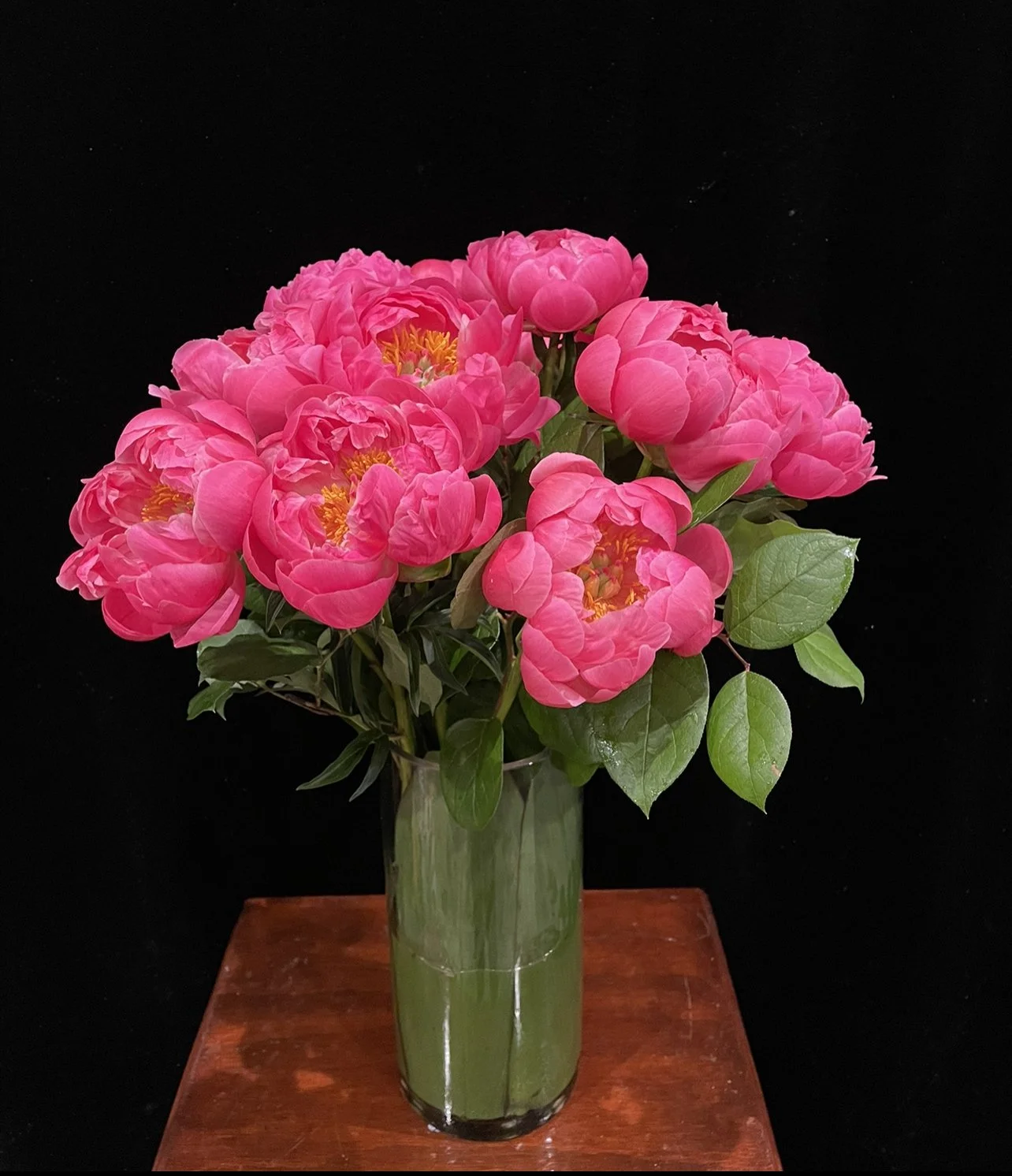 coral-charm-peonies.jpeg