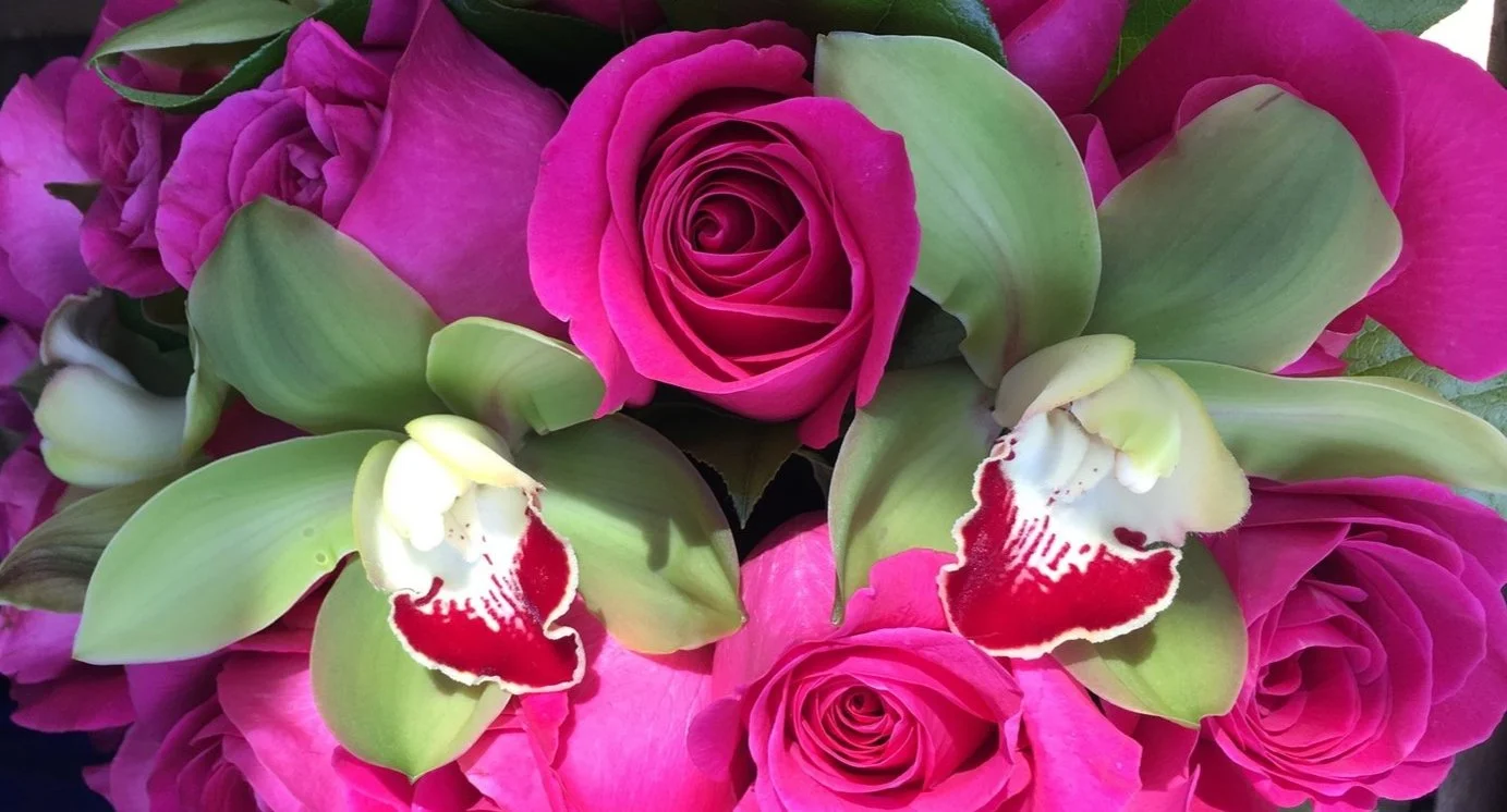 G4 ] A Dozen Hot Pink Roses, Orange Pincushions \u0026 Thistles — URBAN FLOWERS, image size:1383x746