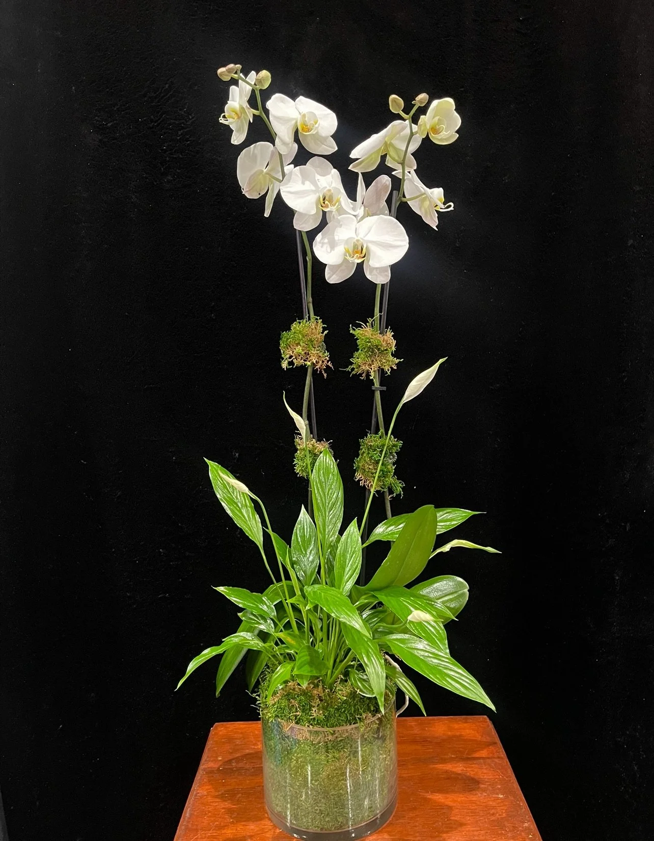 WHITE-ORCHIDS-PEACE-LILY.jpg