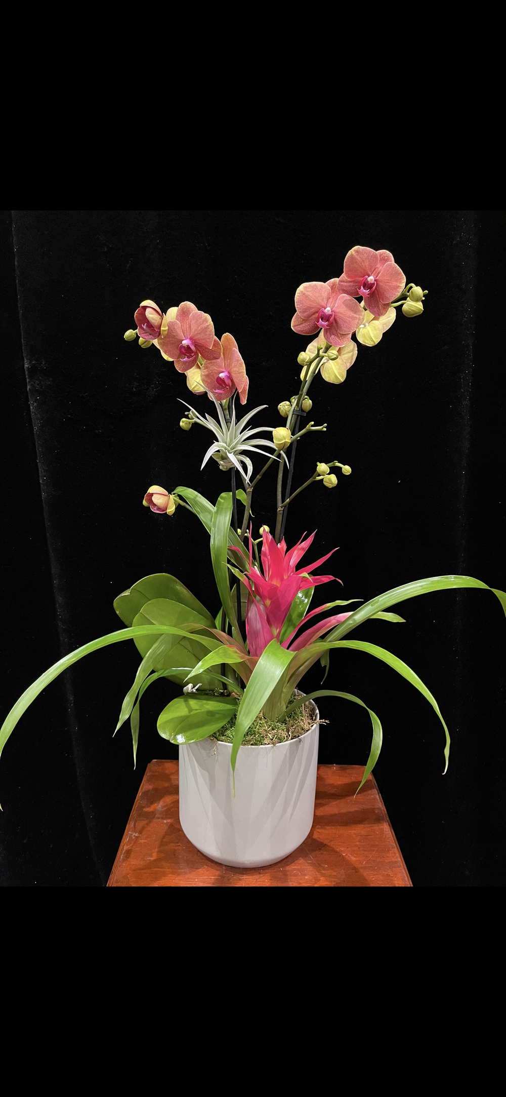 tiered plant rack 7-Tiered Plant Stand With Grow Lights - 62.8