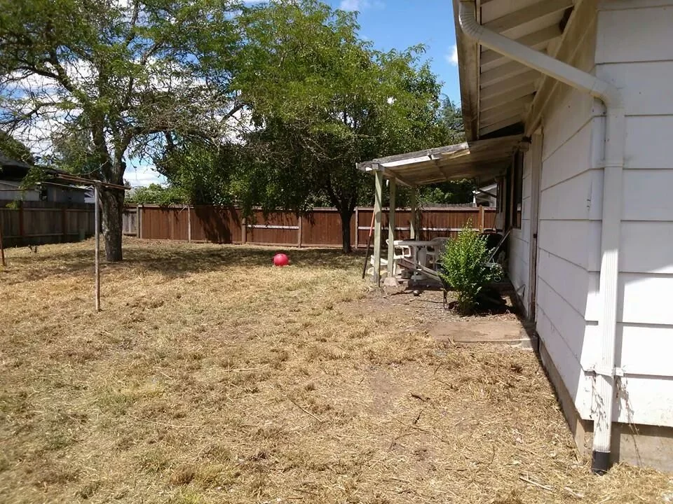 IMG_6945685728110 (1).jpeg