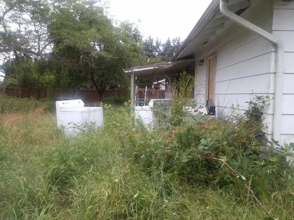 IMG_6962879646437 (1).jpeg