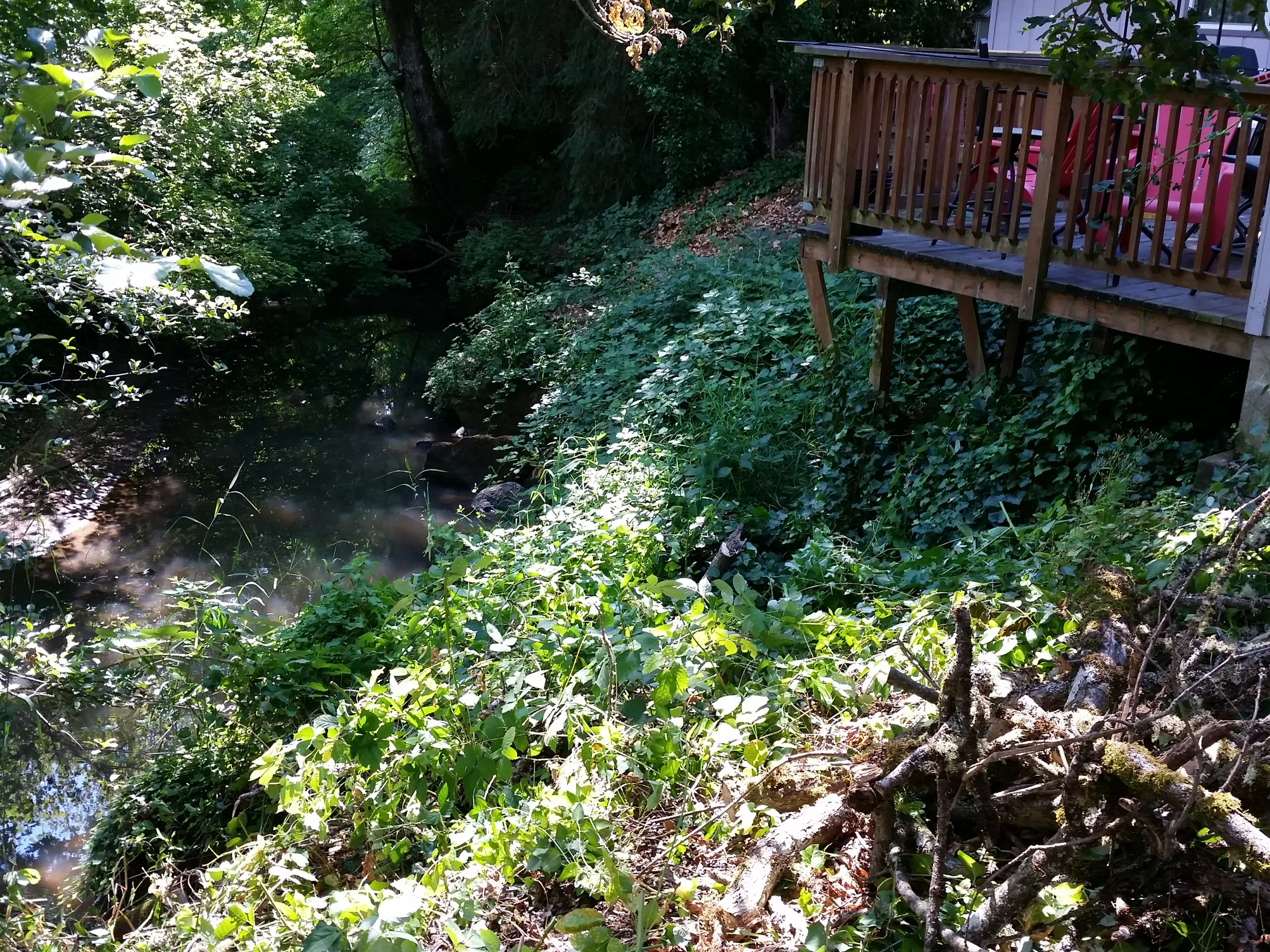 20140729_104443.jpg