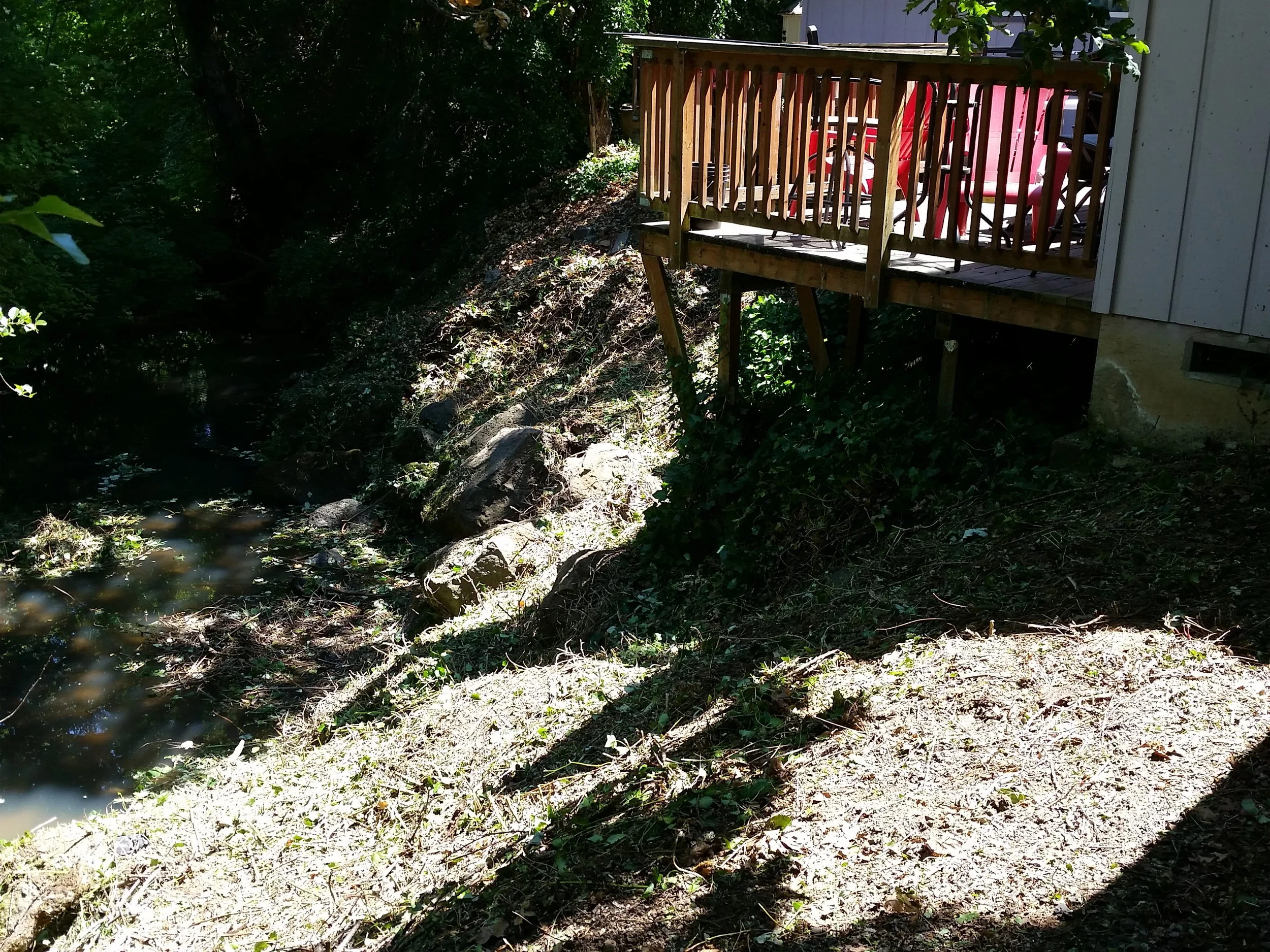 20140729_135050.jpg