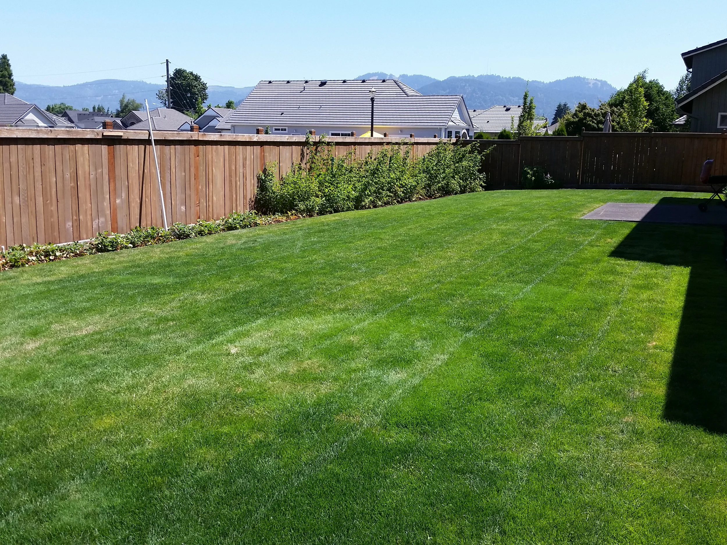 20140710_114518.jpg