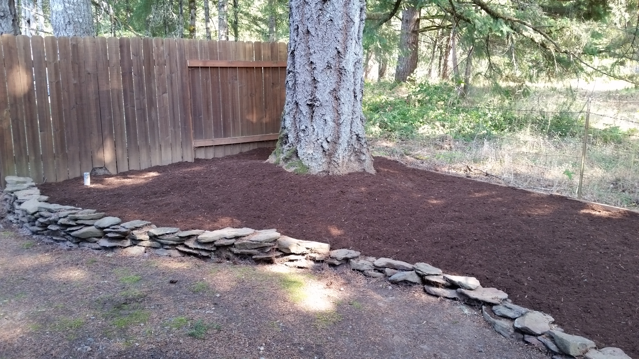 2015-08-04 16.18.05.jpg