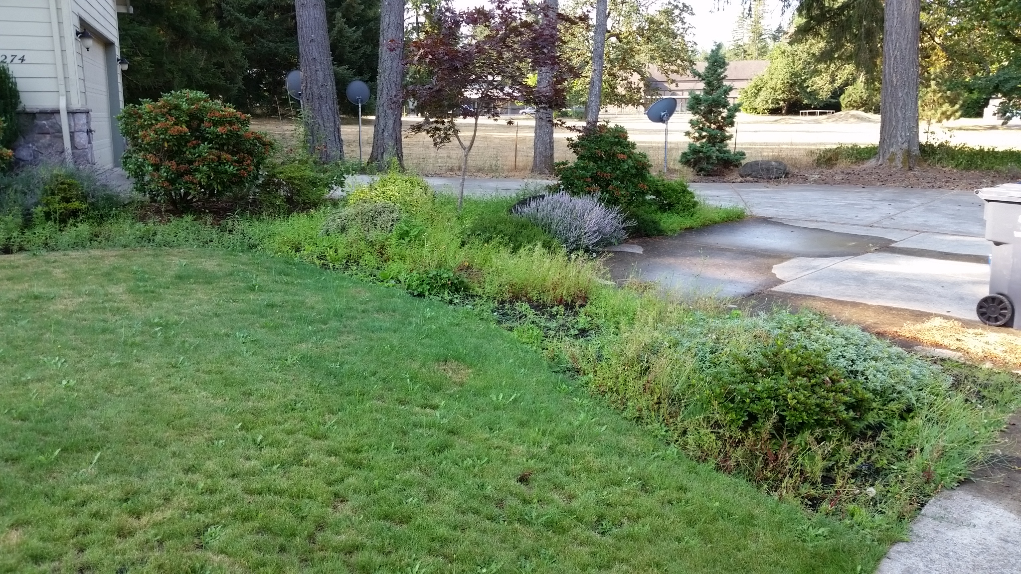 2015-08-04 09.04.53.jpg