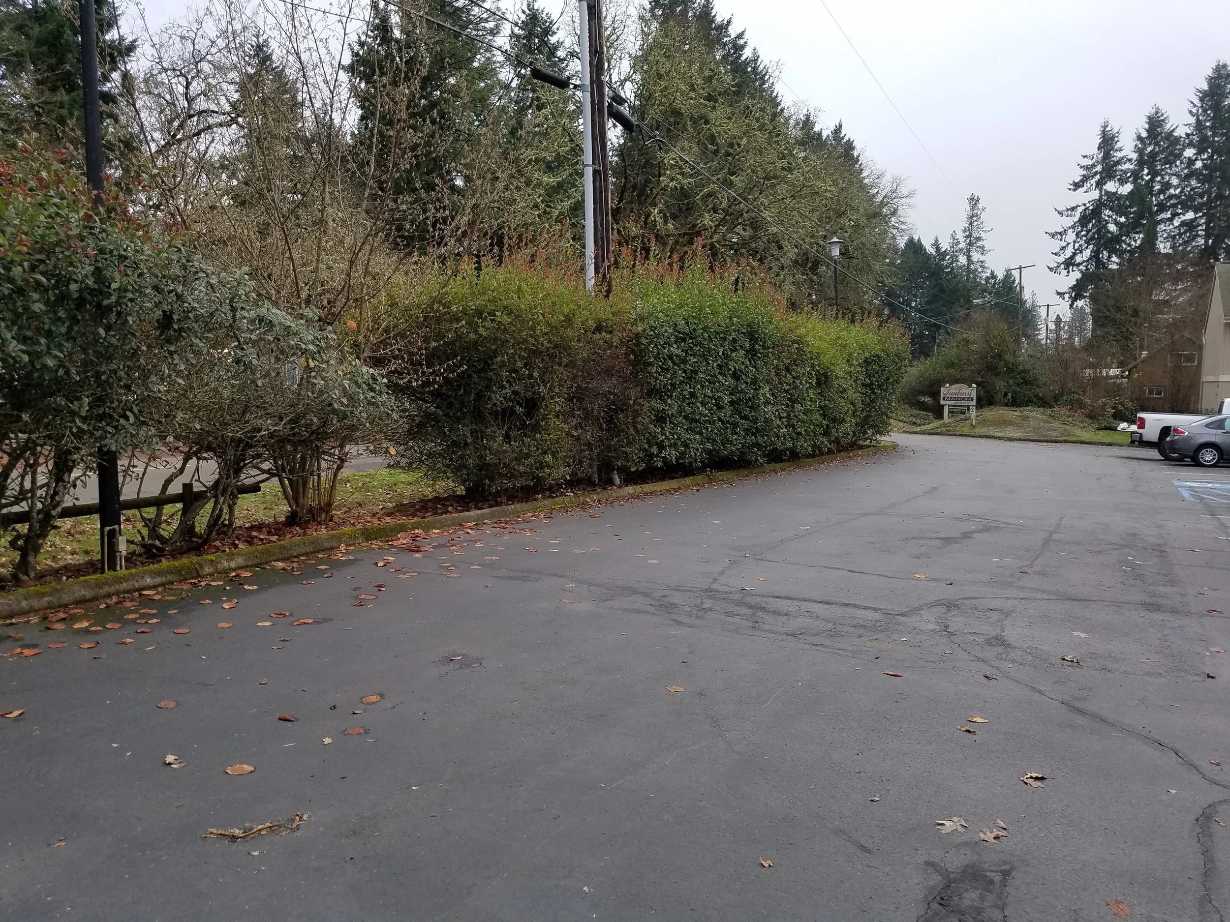 20171204_125011.jpg