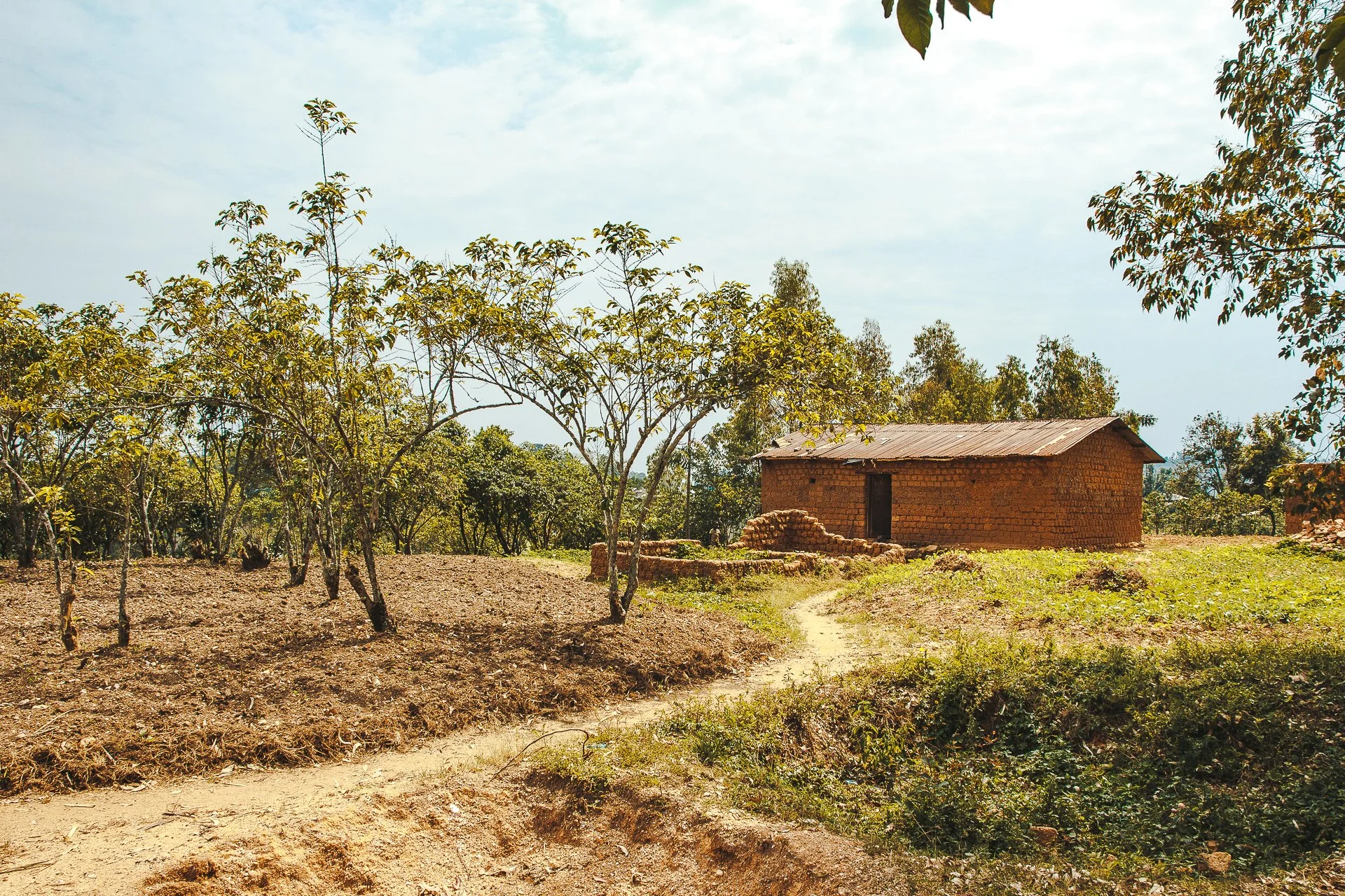 Snowy Owl Coffee Roasters focus on quality single origin and blended coffees, partnering with organizations that align with our ethical standards.