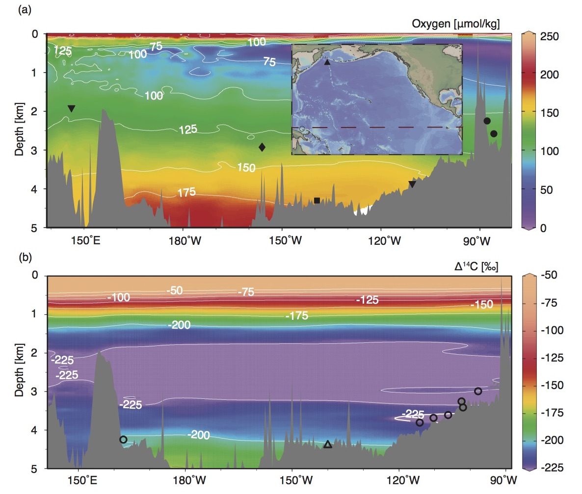 Maps of study area . Modern oxygen concentrations in μmol/kg with the locations of Pacific records of bottom water oxygen as recorded by aU from ML1208-17PC (this study) (diamond), RC11-238 and RC13-140 (dots), TT013-PC7237 (square), ODP 849 and MD97-2138 (inverted triangles) (a) . The lower panel shows modern Δ14C-concentrations with radiocarbon from TTN013-18 (open triangle), and GS7202-15, PLDS 7G, VNTR01 10 GC, KNR73 3PC, KNR73 4PC, KNR73 6PG and S67 15FFC (open circles). Basemaps made using Ocean Data View.