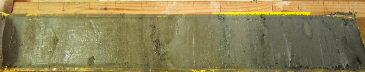 Split sediment core. Credit: Grace Cushman