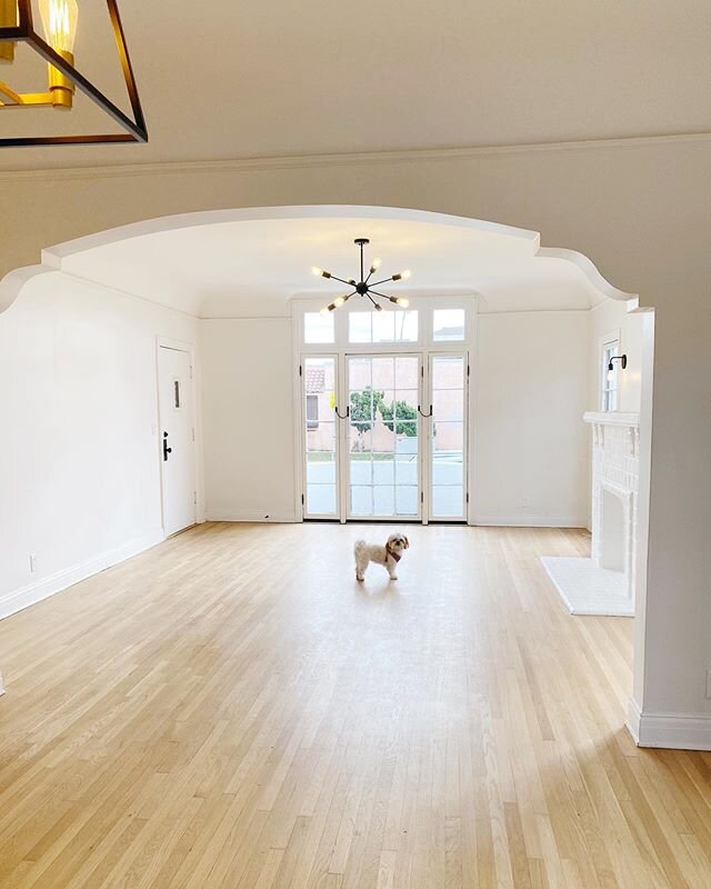 Amidst all this chaos I went ahead and did one more wild thing, I bought a home! Here is Dot in her brand new living room.
