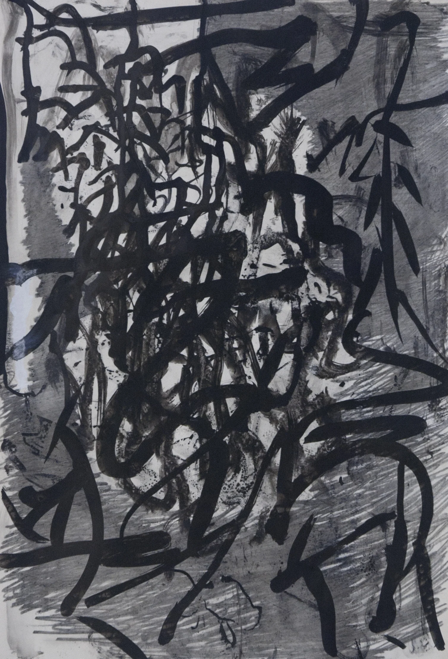 Untitled Sumi ink and graphite on paper