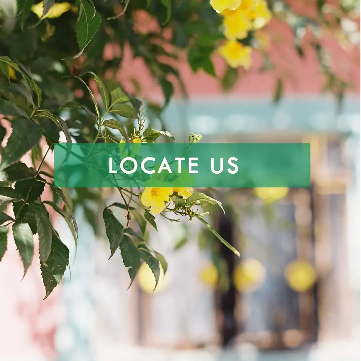 locate-us.webp