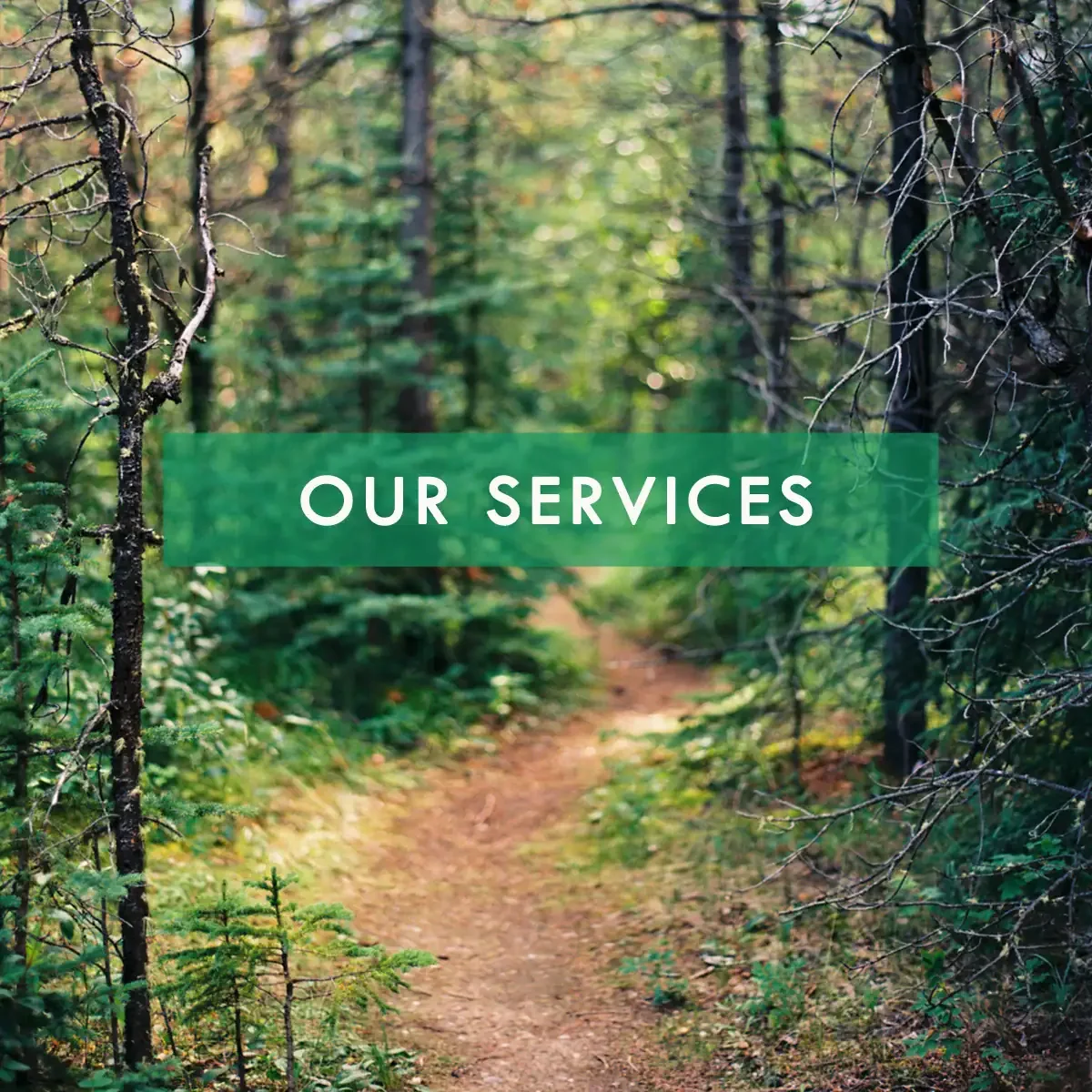 our-services.webp