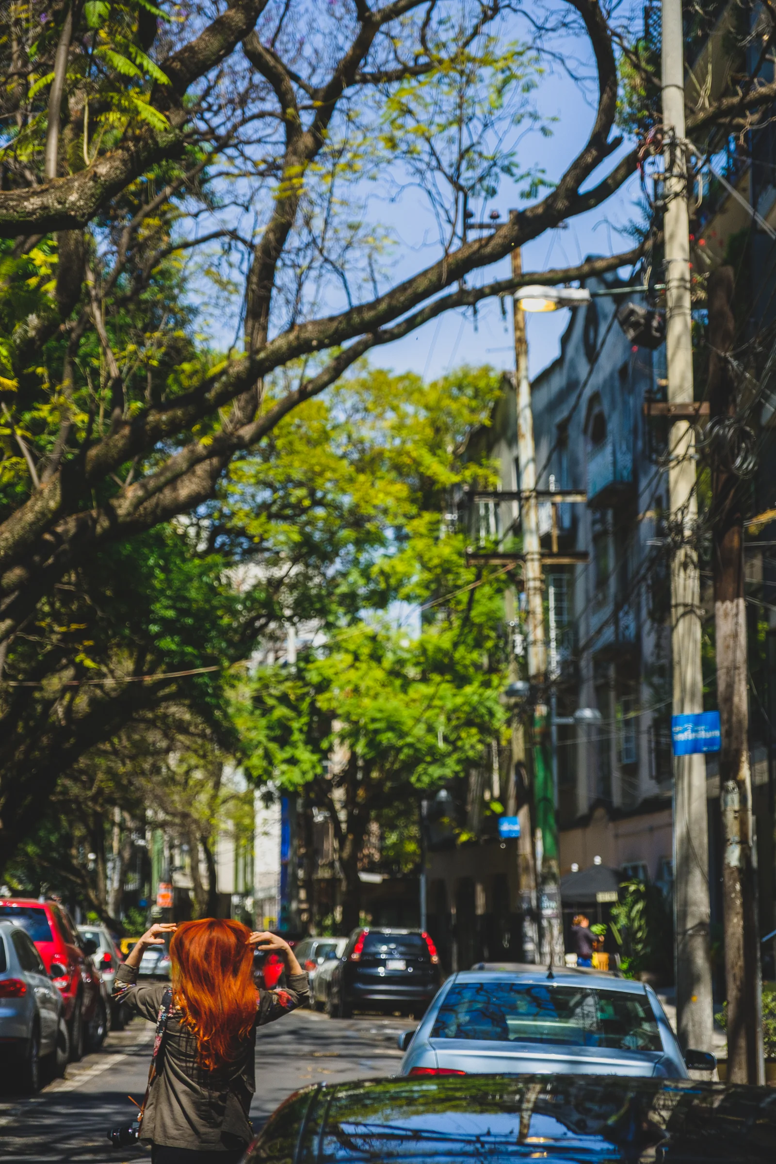 CDMX-249.jpg