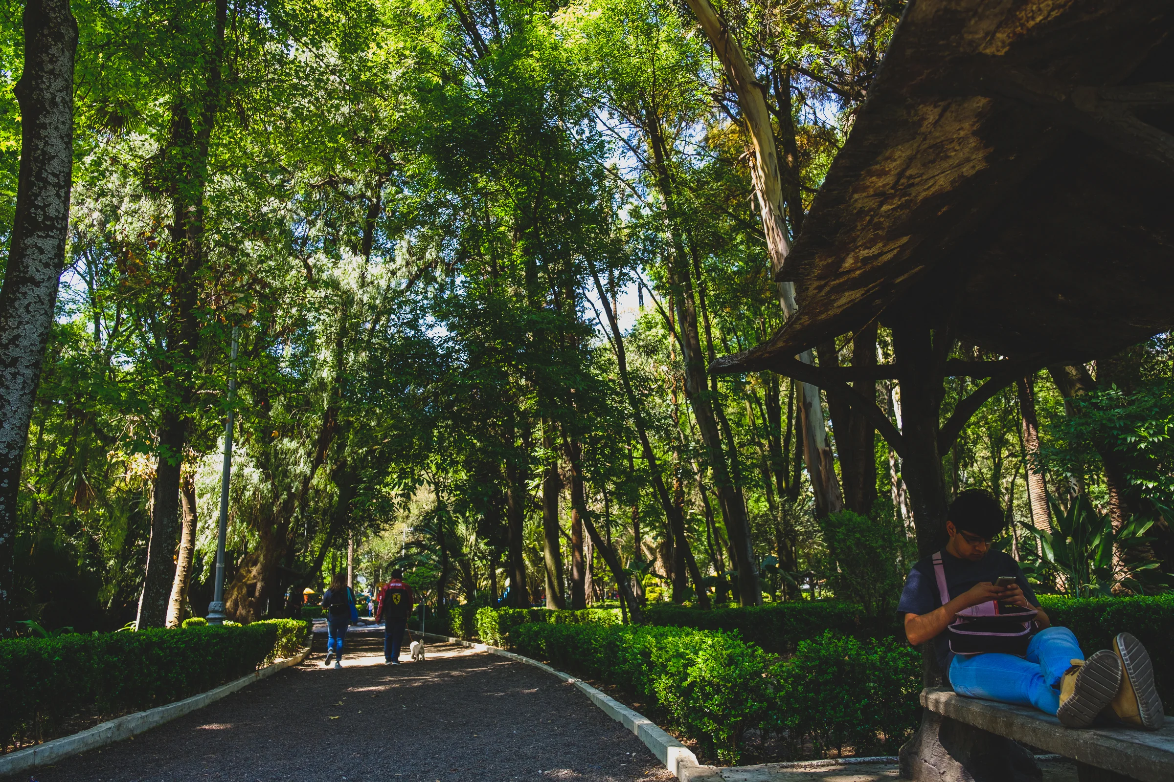 CDMX-272.jpg