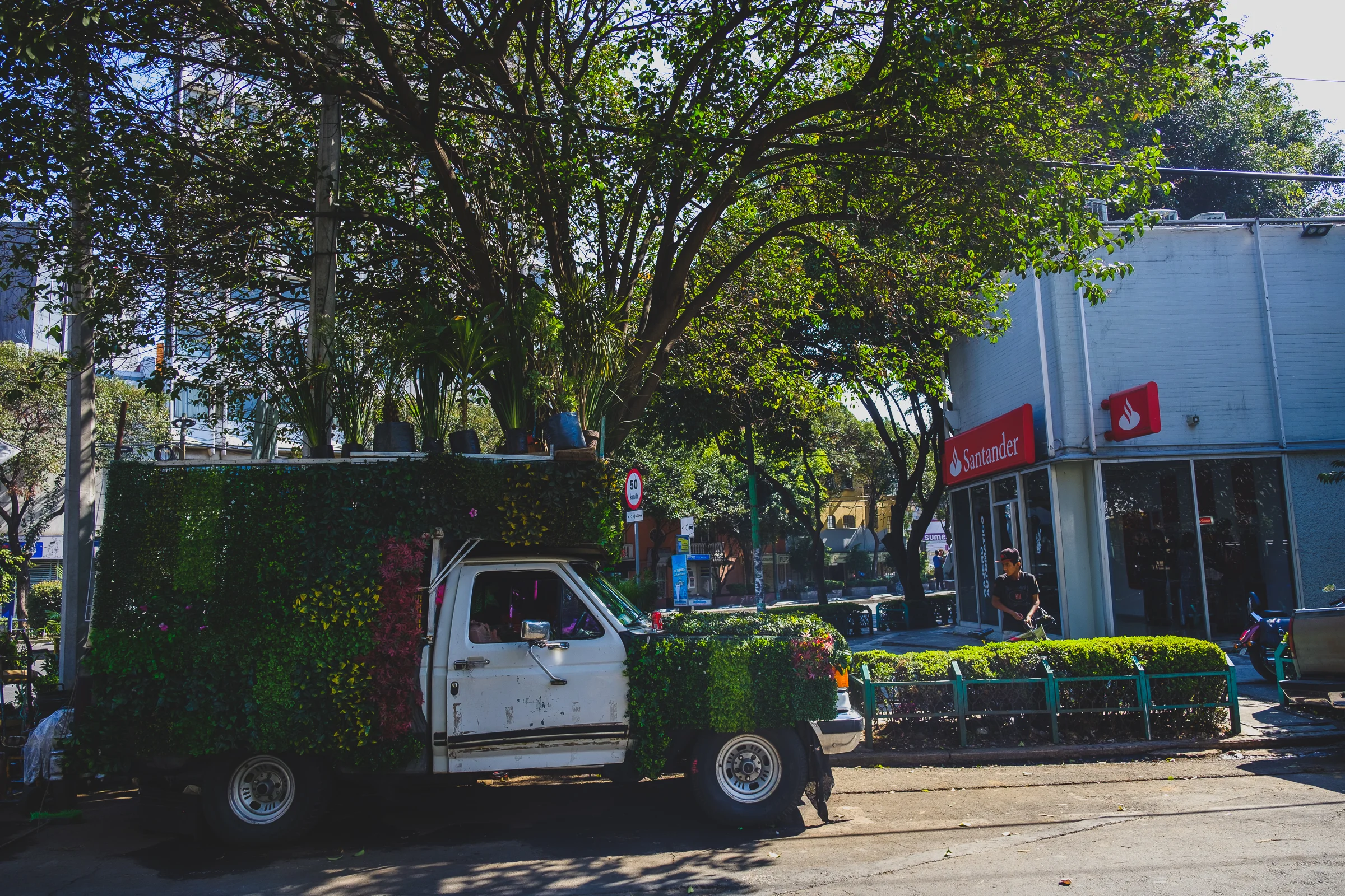 CDMX-277.jpg