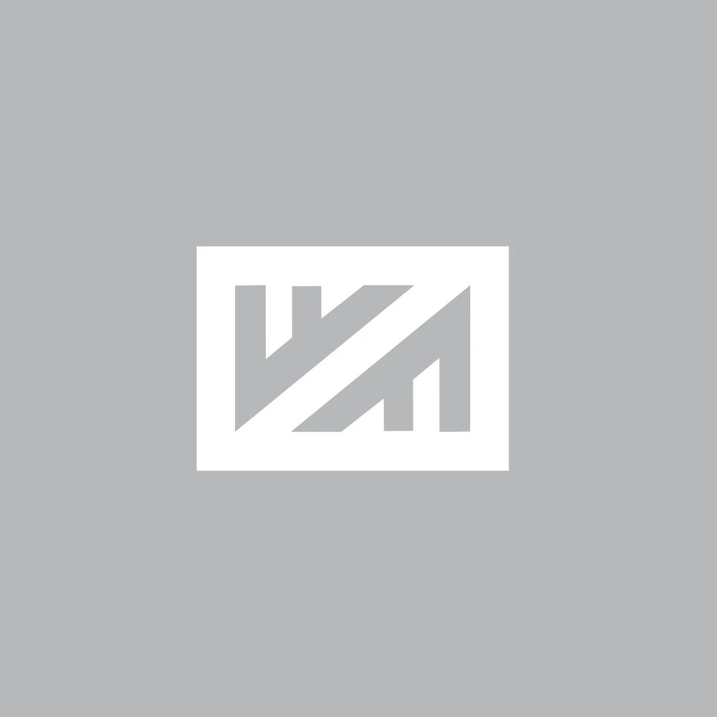 Fiske Consulting-Logo Design-final_Gray Icon with White.jpg