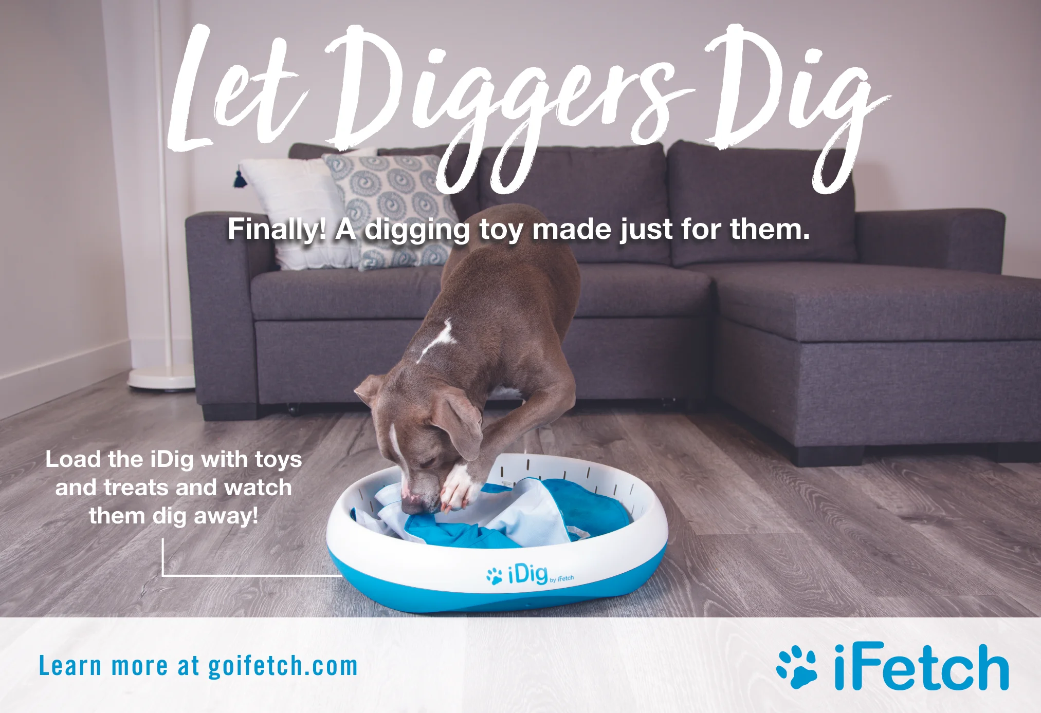 iFetch half page ad design v6-01.jpg