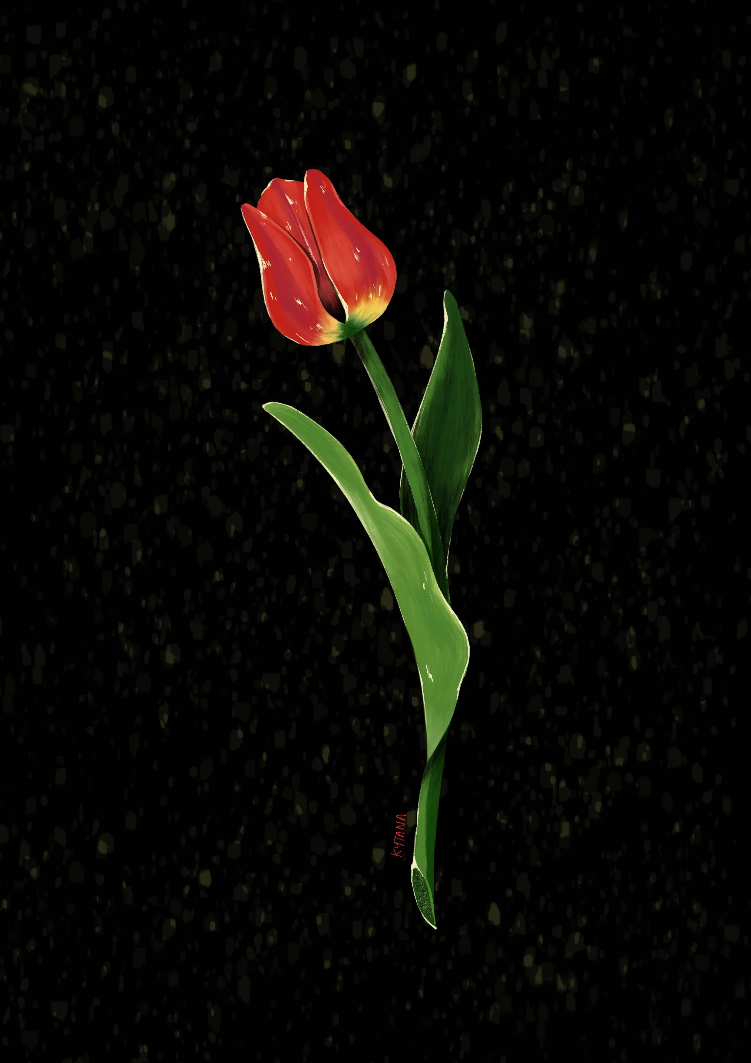 Tulip, Procreate on iPad, 2021
