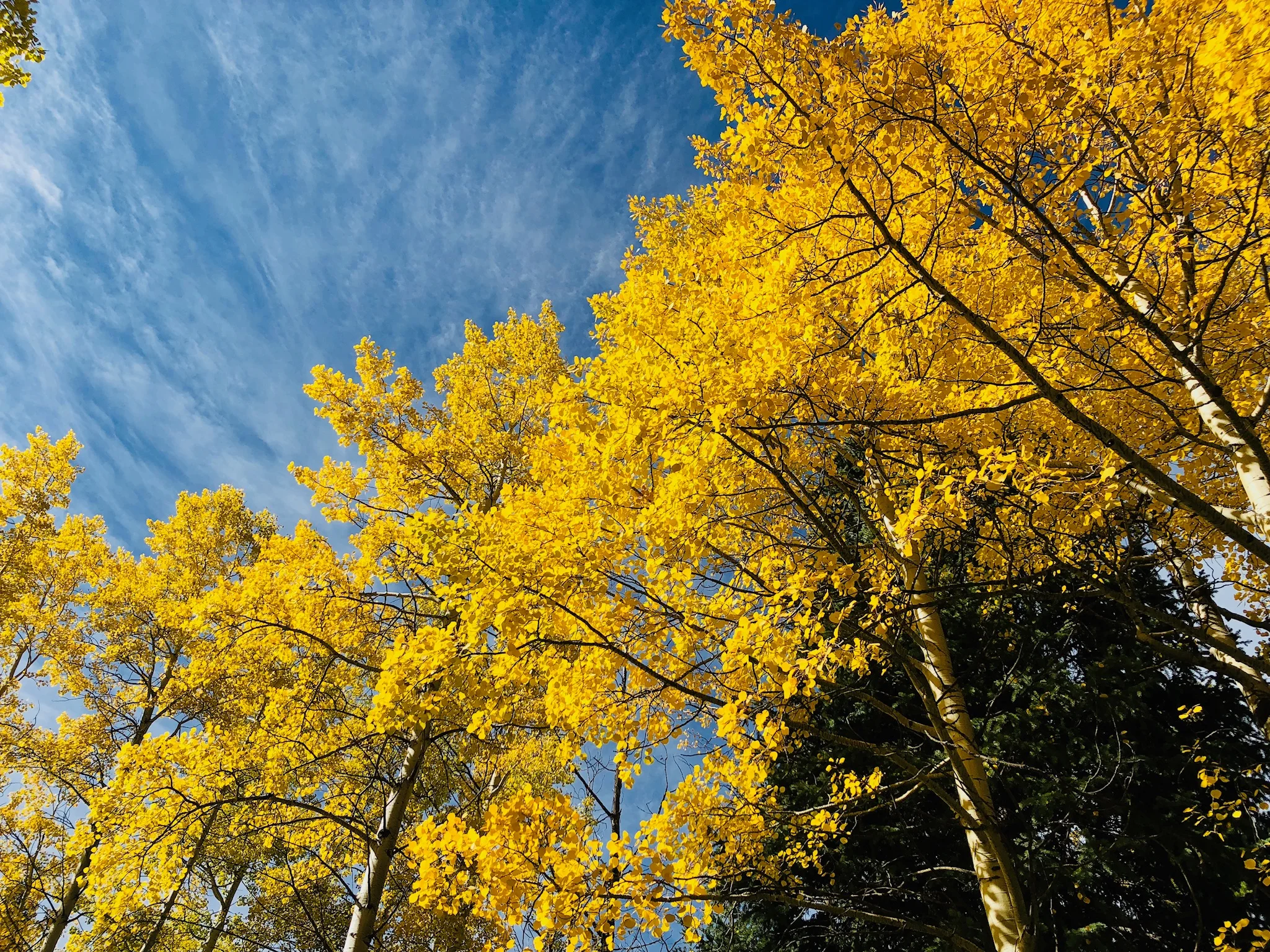 Beauty in the Breakdown