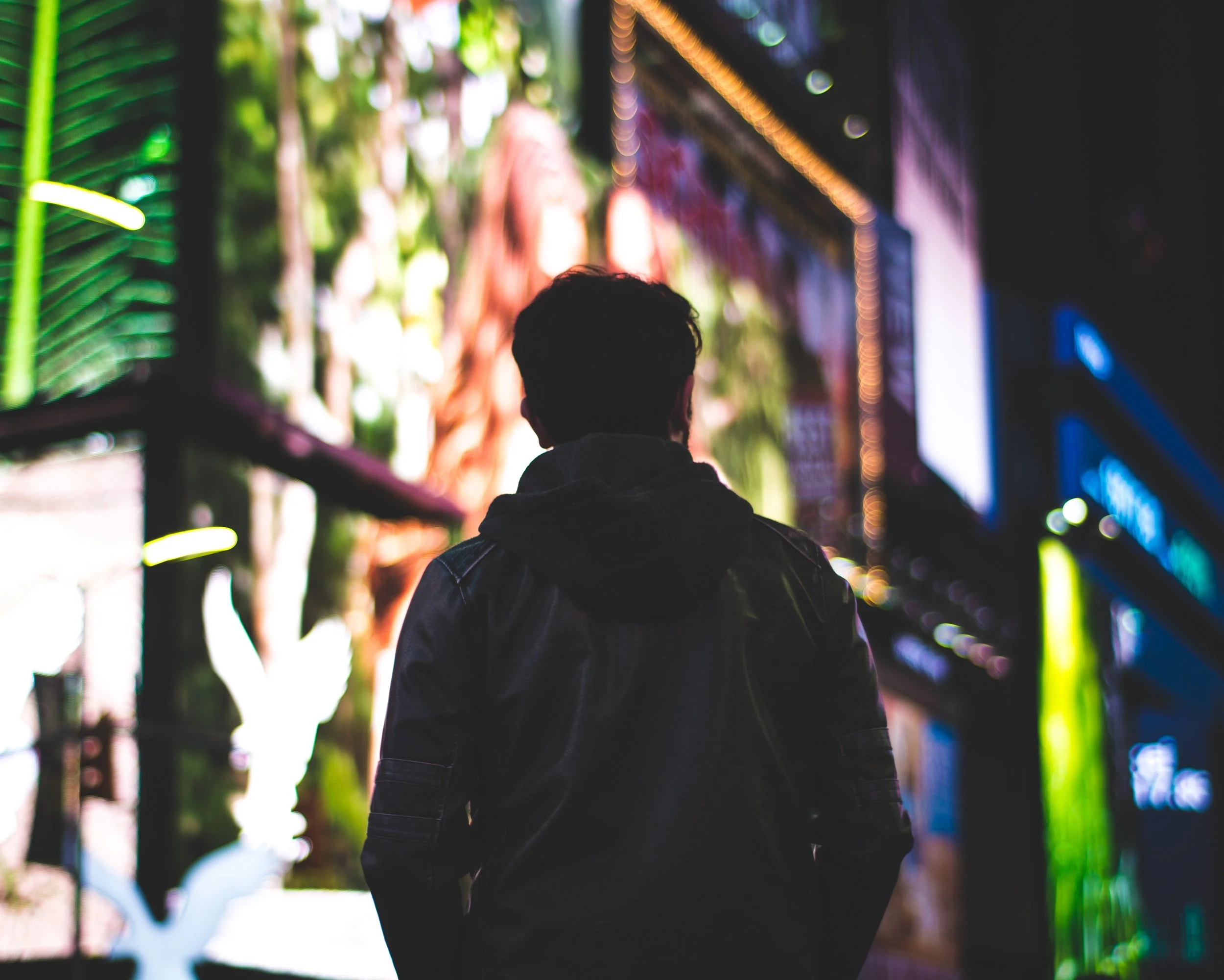 back lights.jpg