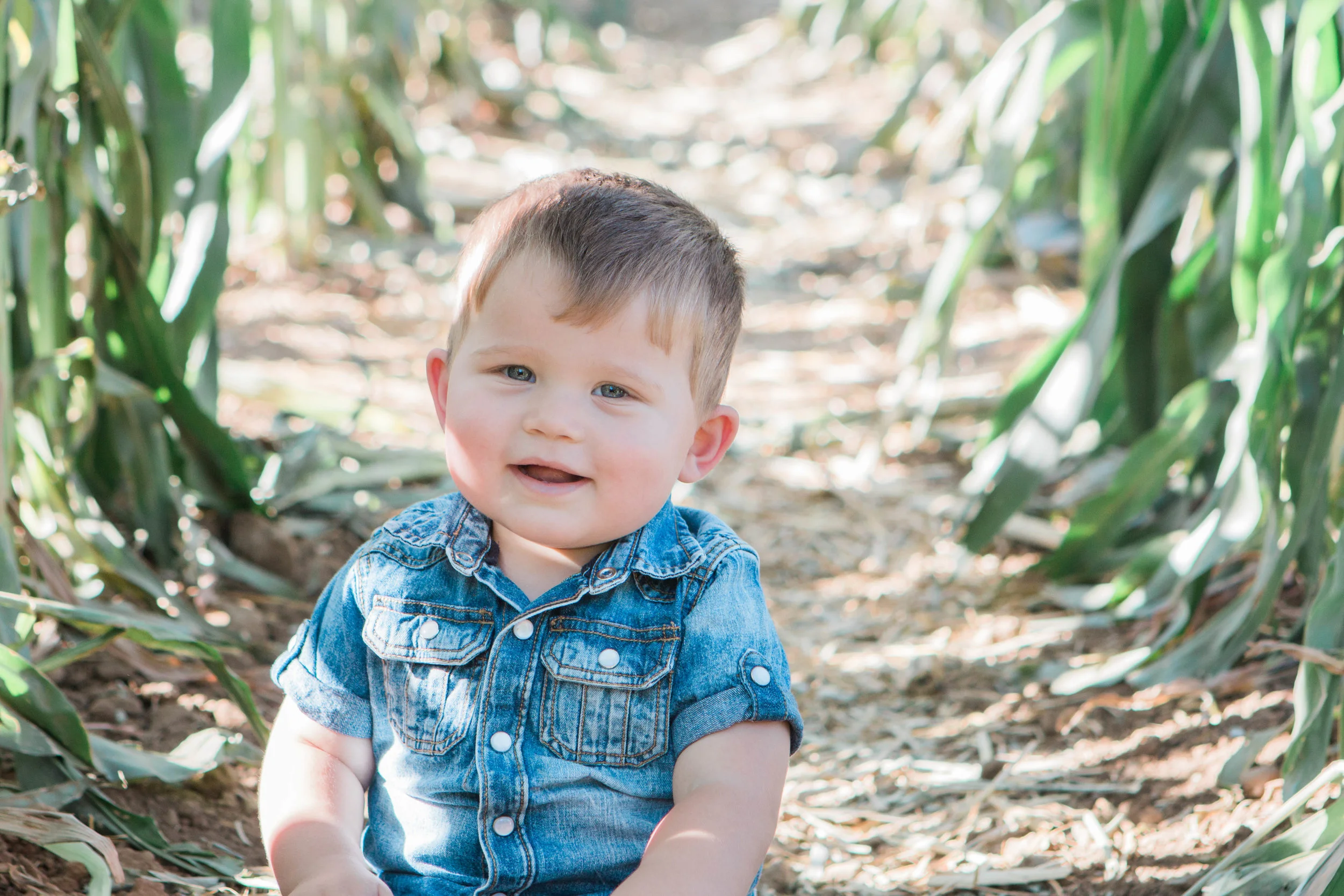  18 months old |&nbsp;October 2015 