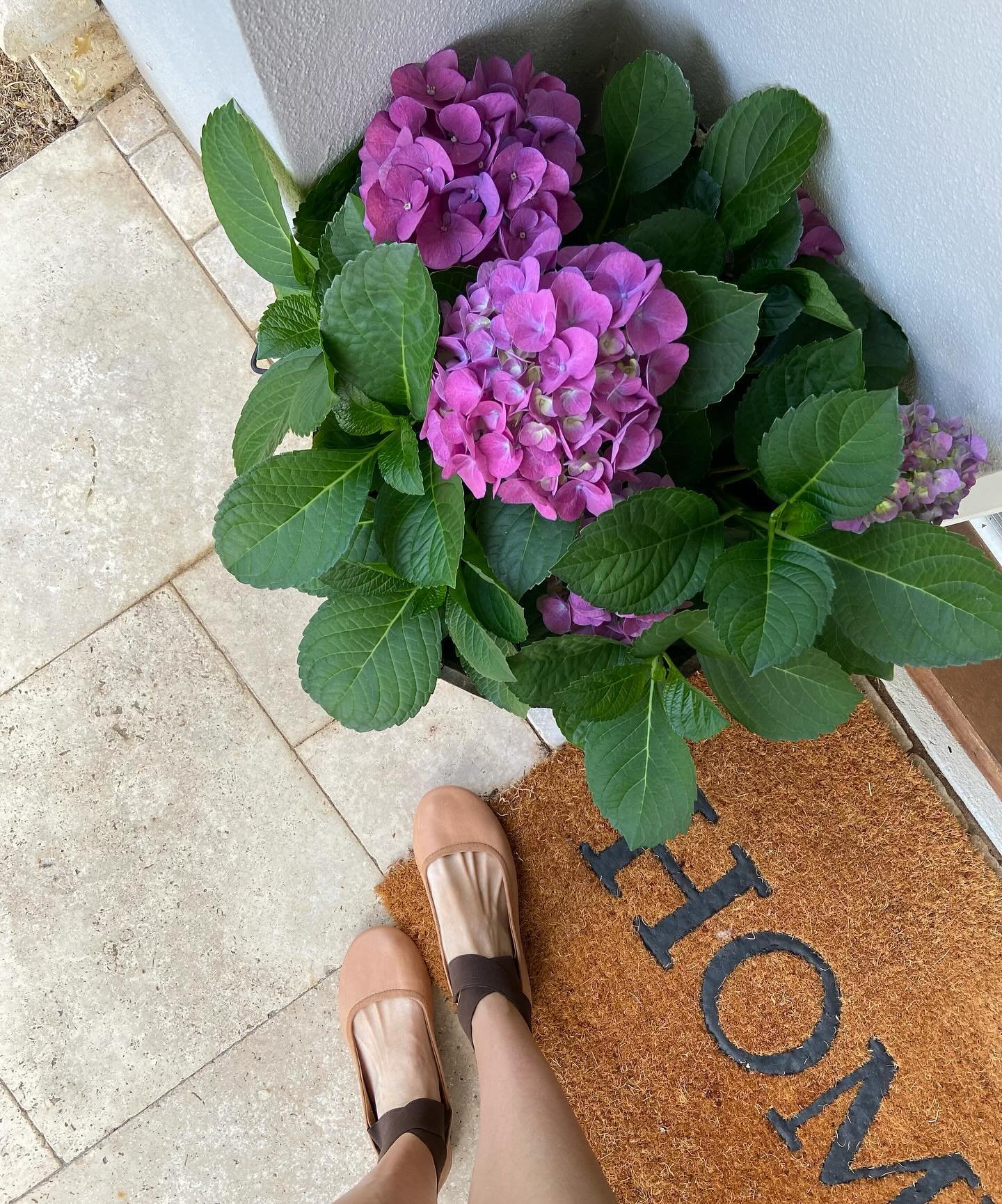 {Renee} love our lolliette flats. So comfy 👌🏻❤️