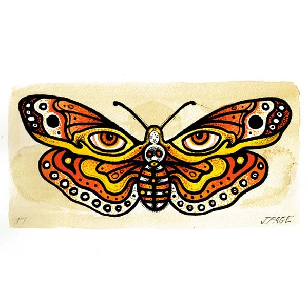 Jeffery-Page-Web-Gallery-Morning-Coffee-Projects-Death-Head-Girl-Moth-Halloween-Transformation-MothGirl.jpg