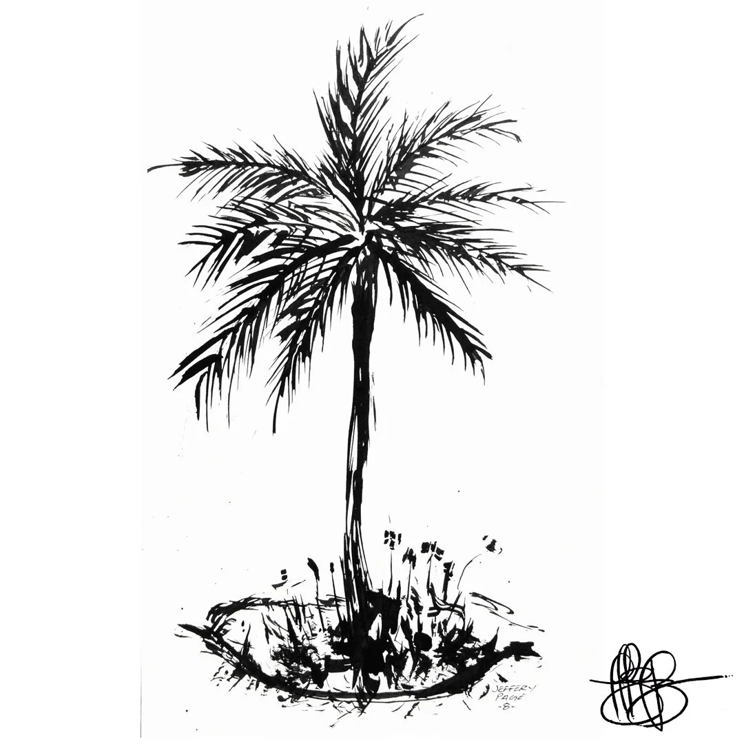 Jeffery.Page.Punk.Cueball.Avant.Garde.Realistic.Palm.Tree.Landscape.jpg