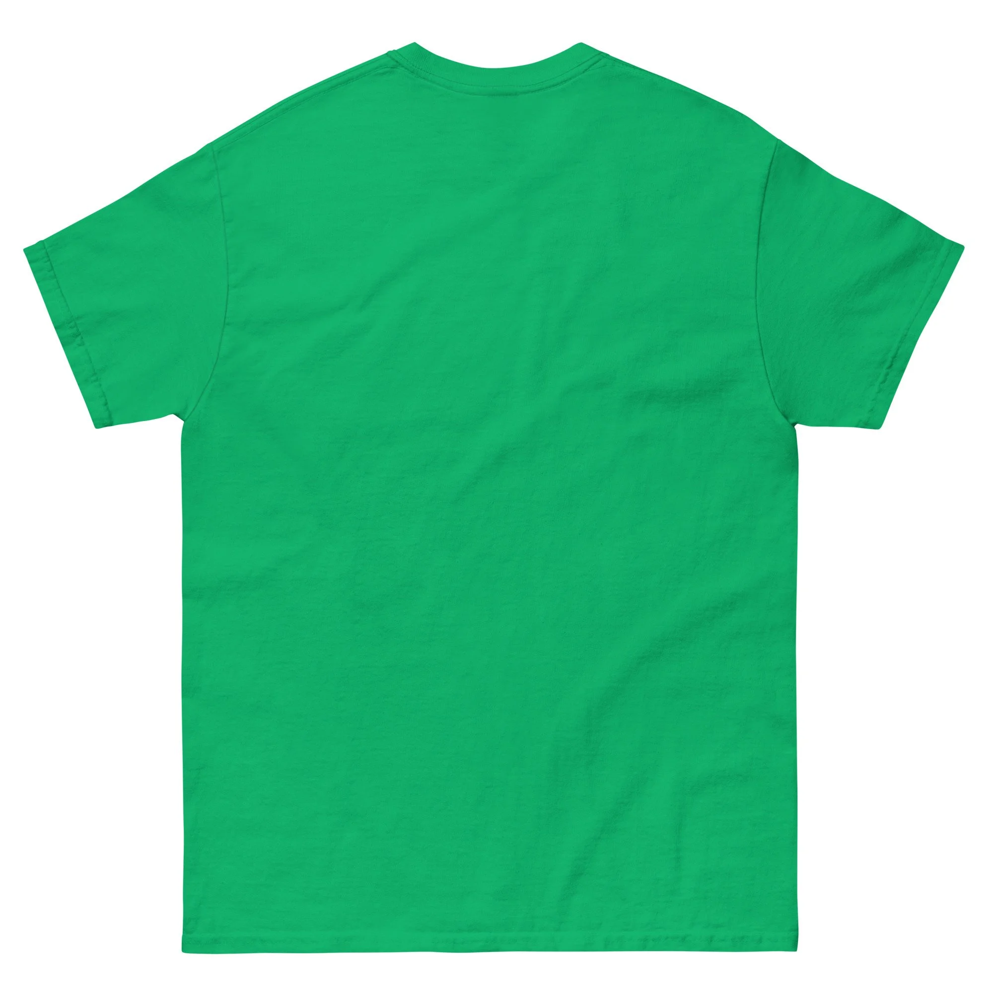 unisex-classic-tee-irish-green-back-68a776c993b3a.jpg
